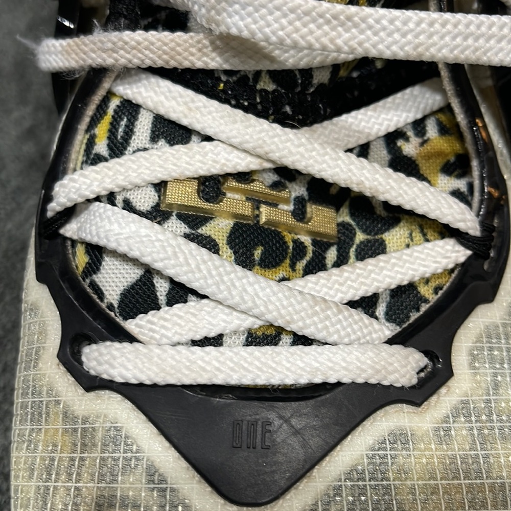 Nike Lebron basketball shoes - Picture 10 of 10